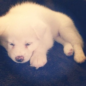 We immediately melted. Hiro at 4 weeks