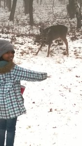 A deer family outside our home