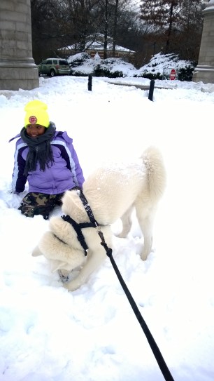 Dogs plus kids, plus snow equal FUN