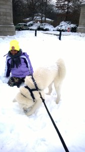 Dogs plus kids, plus snow equal FUN